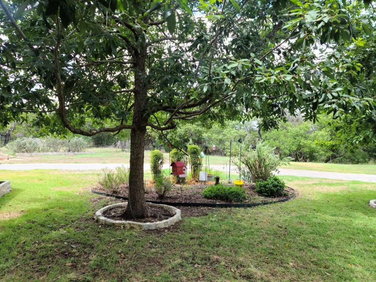Hill Country Haute N Haus Relax And Renew Fischer Exterior foto